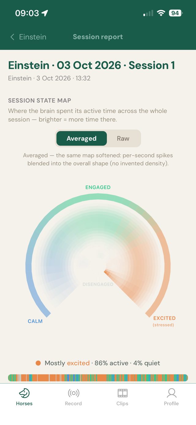 App screen: session report with the brain-state map